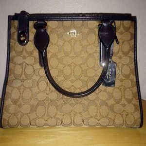 LIGHT BROWN AND CHOCOLATE BROWN COACH